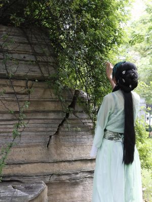藏海传男主角扮演者身着古装官服，神情沉稳内敛，背景为宫廷走廊，光线冷峻